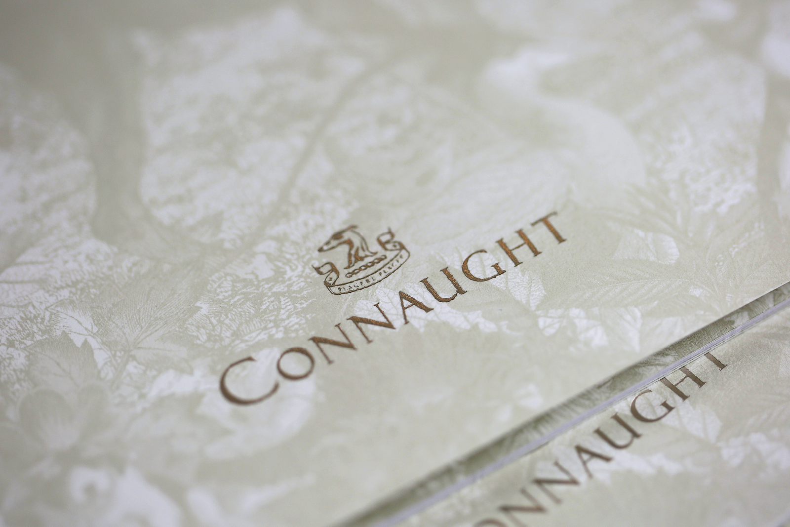 The Connaught Suites Brochure