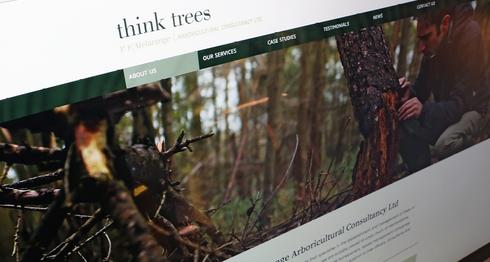 Website design and build for Thinktrees Ltd 