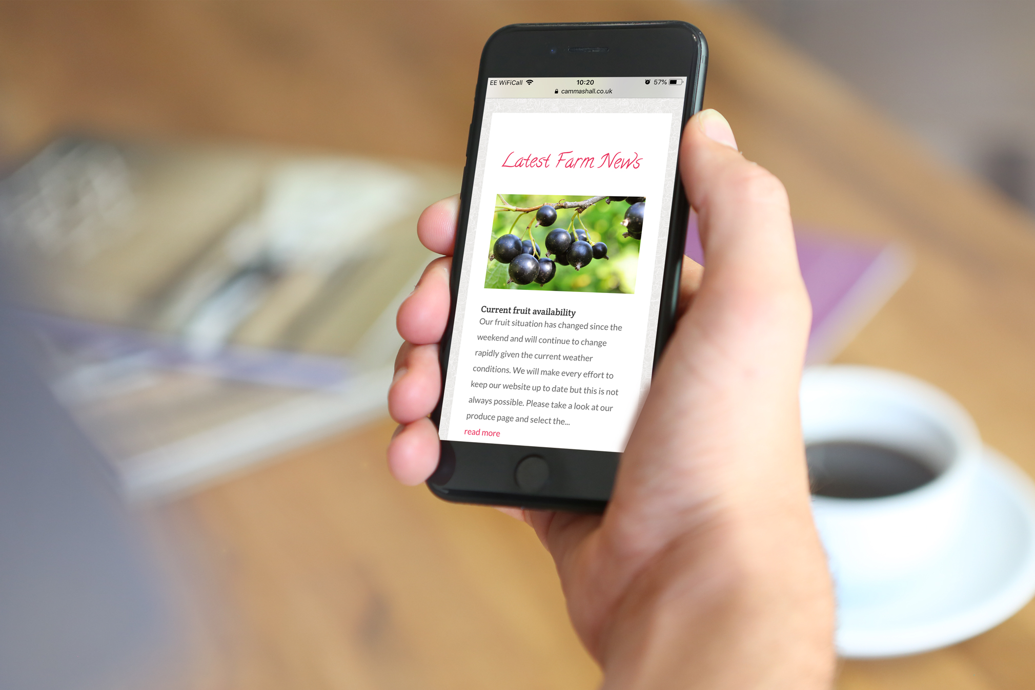 Fully responsive, bespoke WordPress website design for Cammas Hall Fruit Farm
