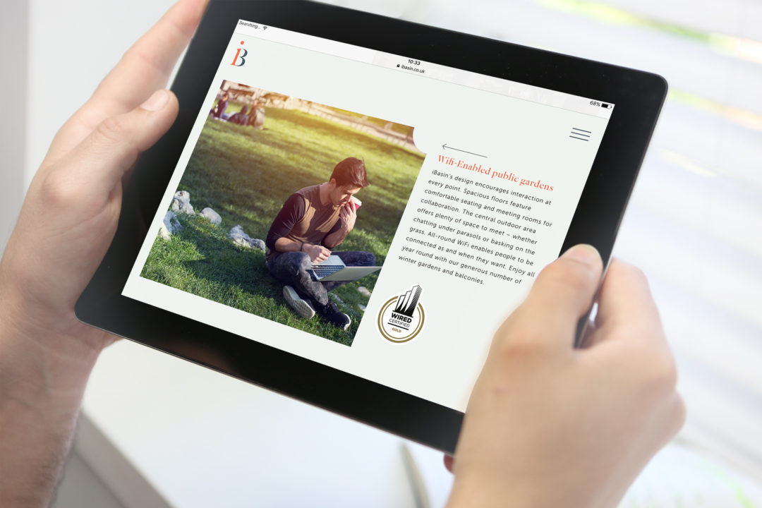 iBasin website