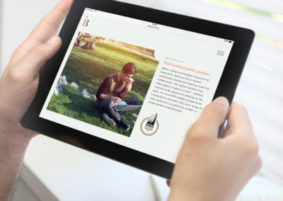 iBasin website
