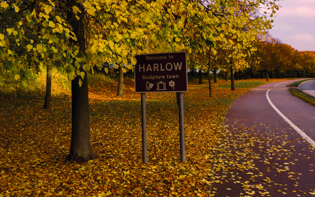 Harlow: Time for a Change