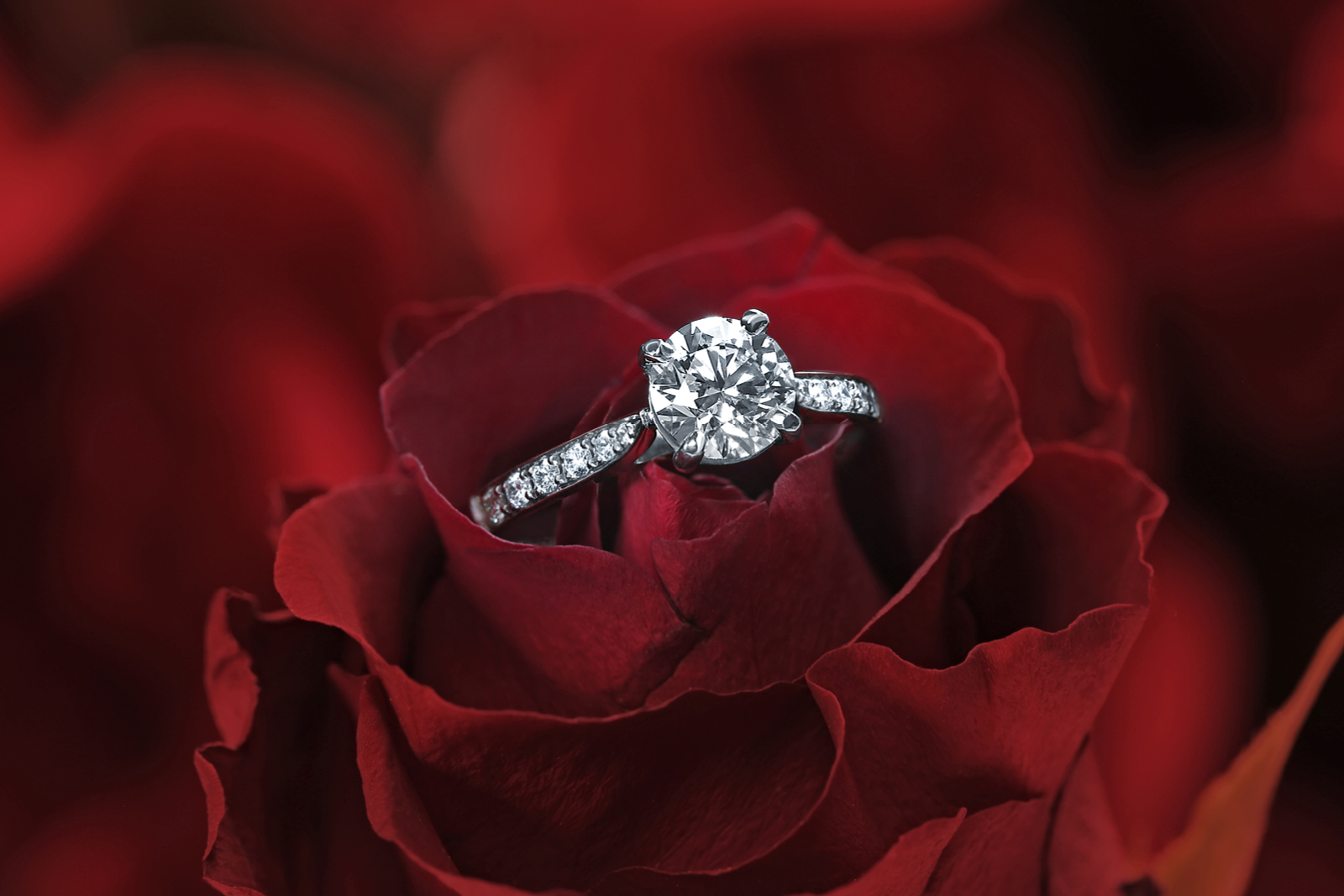 20 Diamond Photography Tips - How to Photograph Shiny Diamond Jewelry